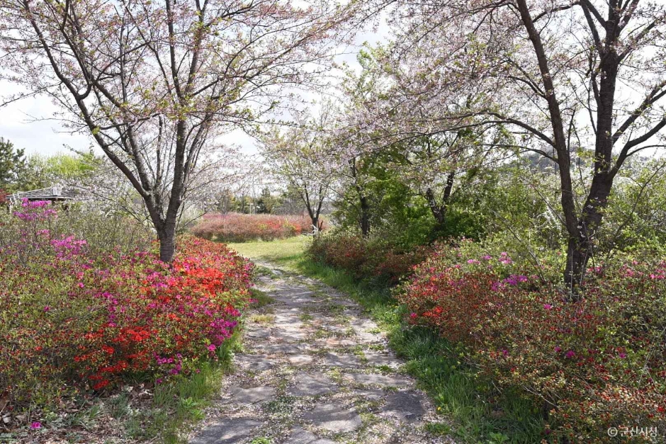 금강습지생태공원 공식 관광자료 제공 사진 실제 사진