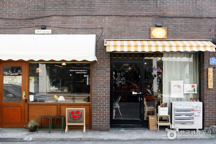 강릉 명주동 거리 공식 관광자료 제공 사진 실제 사진