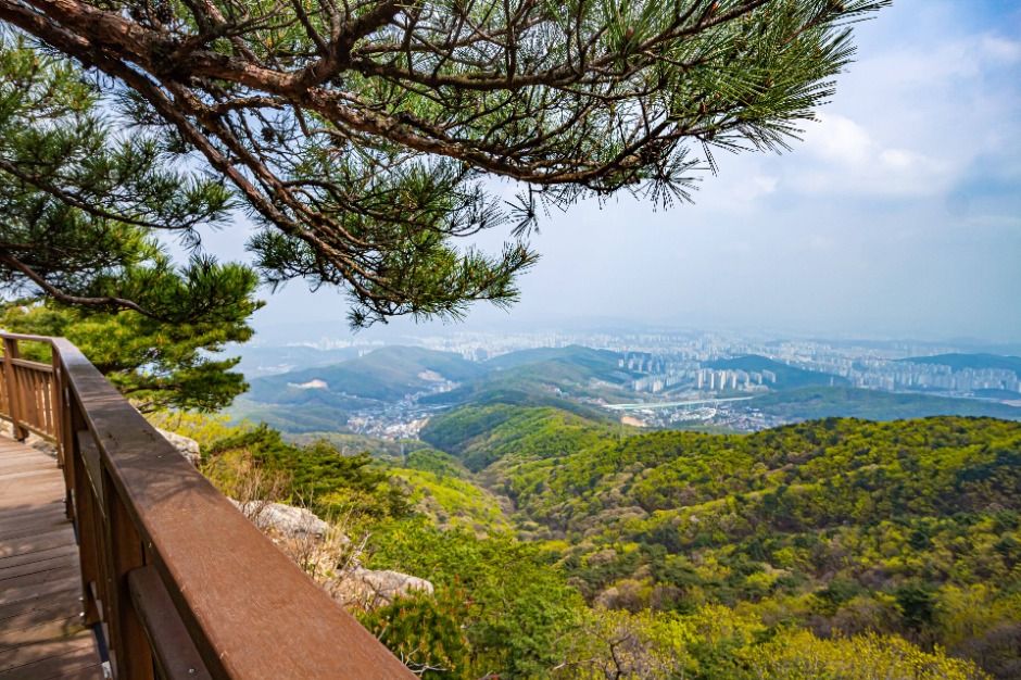 용인 8경 장소 사진