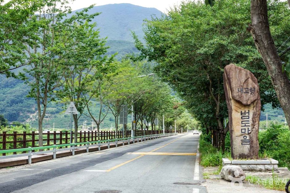 단장 이팝꽃 터널길 장소 사진