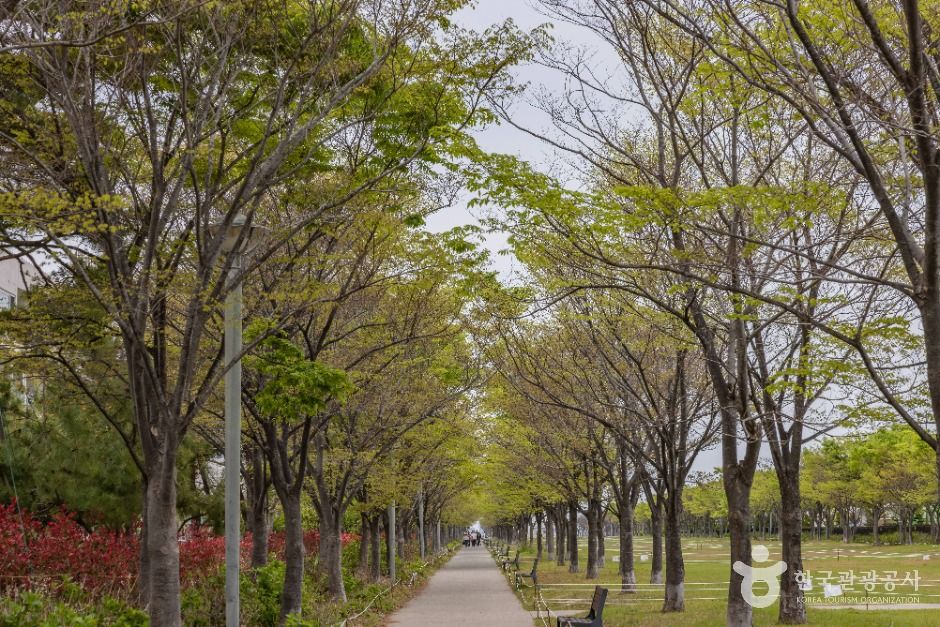 아미르공원 공식 관광자료 제공 사진 실제 사진