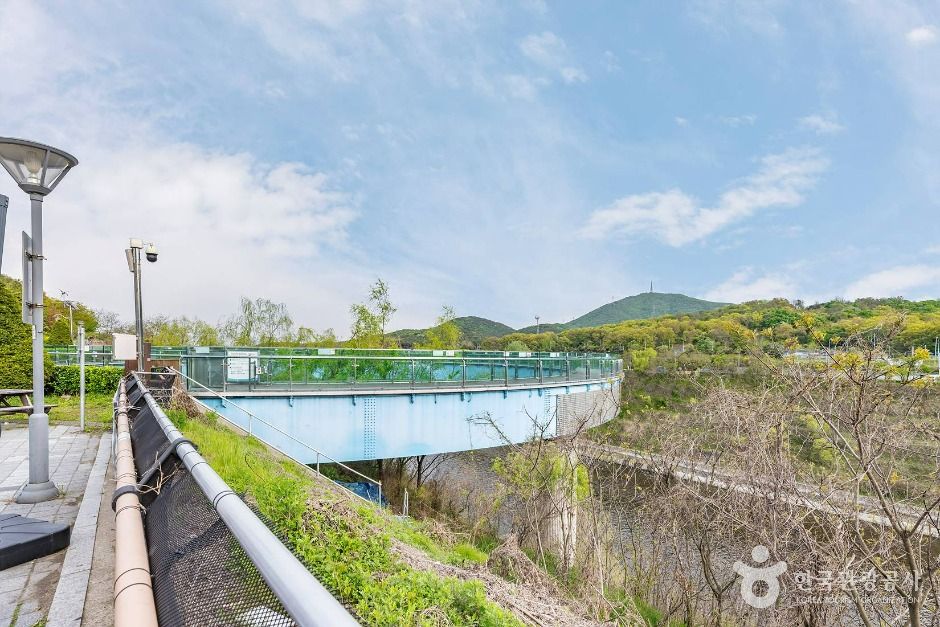 아라마루 전망대 공식 관광자료 제공 사진 실제 사진