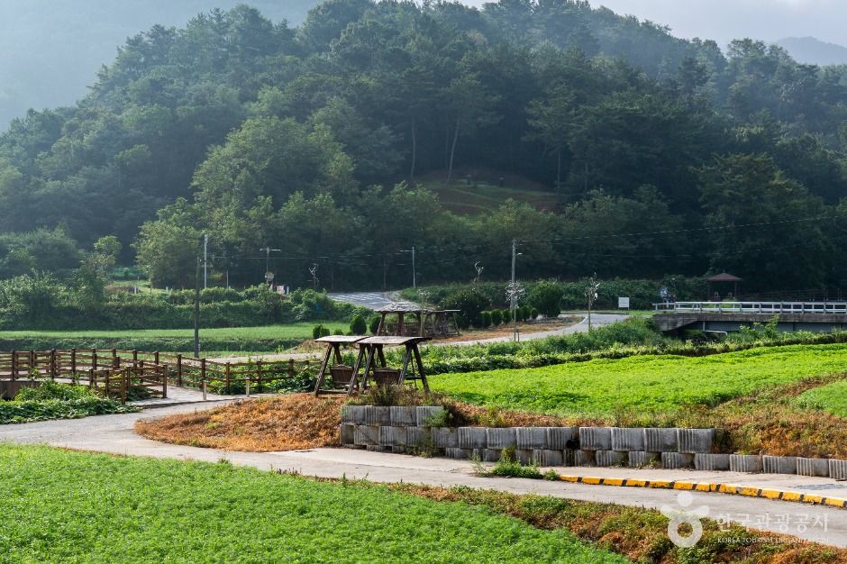 장동만남공원 공식 관광자료 제공 사진 실제 사진