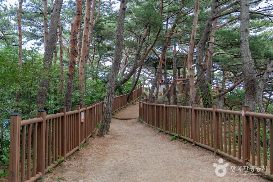 하조대 공식 관광자료 제공 사진 실제 사진