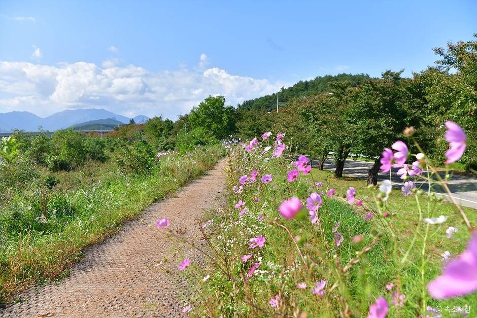 쌍천길 공식 관광자료 제공 사진 실제 사진