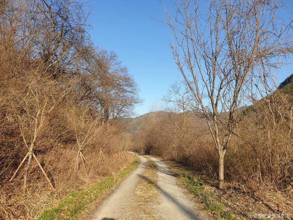 섬진강 예향천리마실길 공식 관광자료 제공 사진 실제 사진