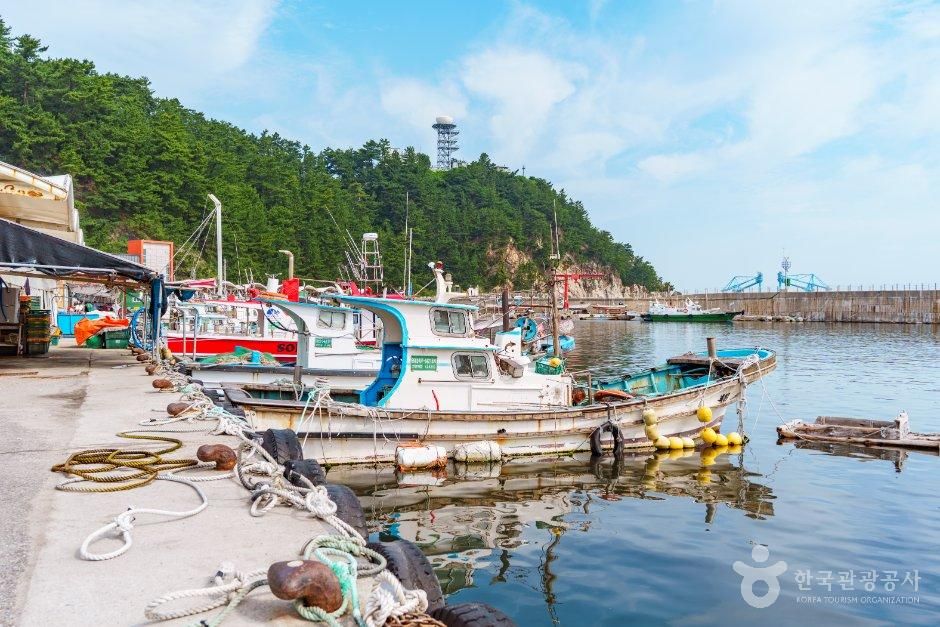안인항 공식 관광자료 제공 사진 실제 사진