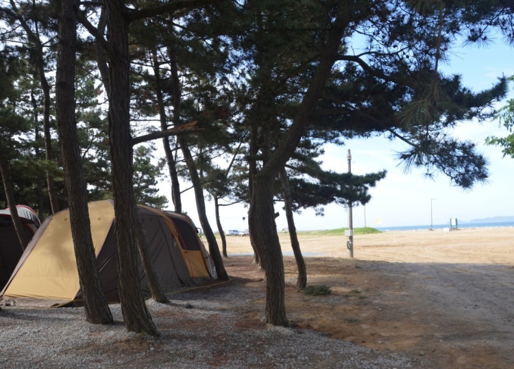 몽산포그린캠핑장 공식 관광자료 제공 사진 실제 사진