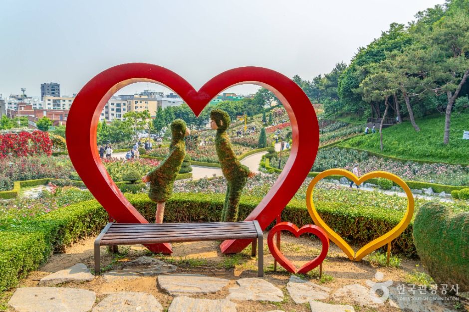 백만송이장미원 공식 관광자료 제공 사진 실제 사진