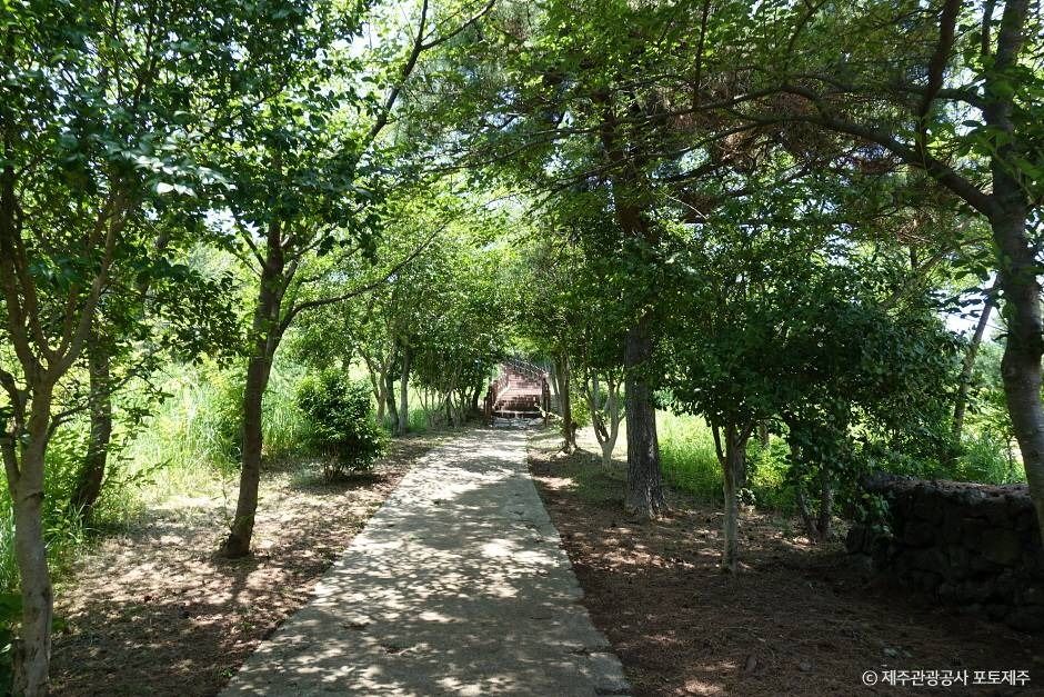 도두봉 공식 관광자료 제공 사진 실제 사진