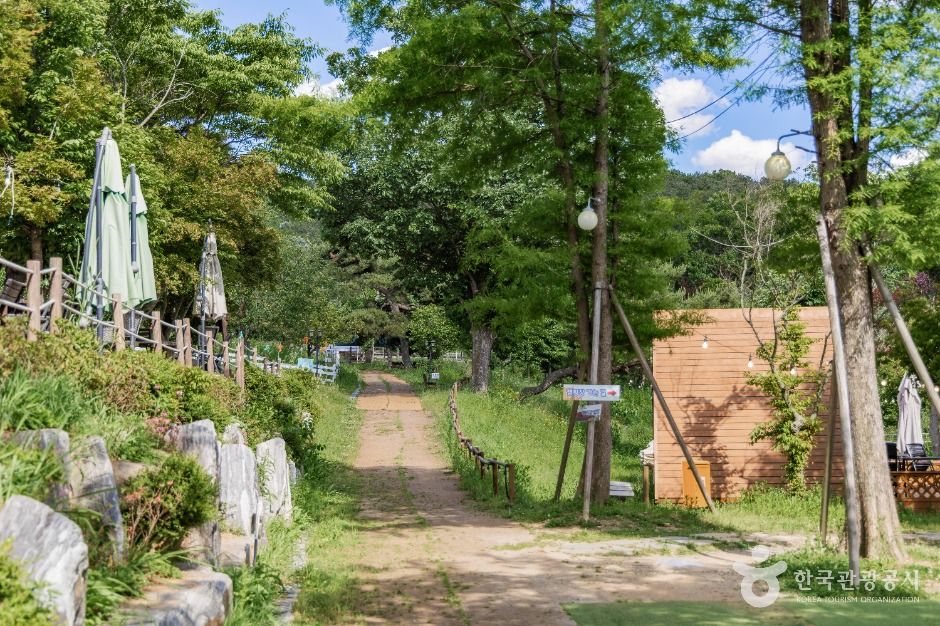 파주팜랜드 공식 관광자료 제공 사진 실제 사진