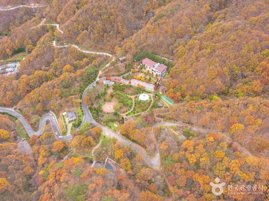 데미샘자연휴양림 공식 관광자료 제공 사진 실제 사진