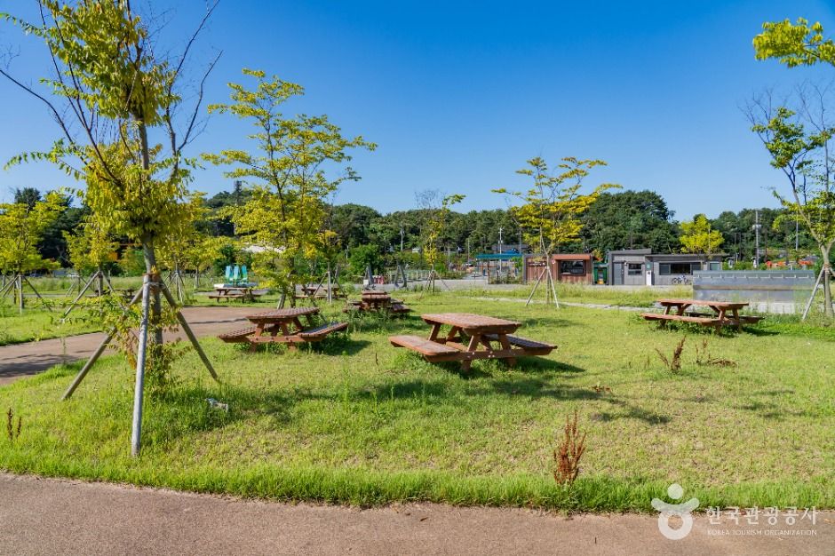 궁평관광지 공식 관광자료 제공 사진 실제 사진
