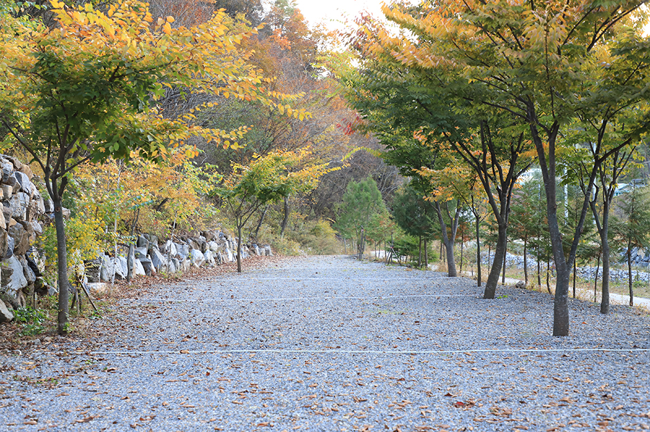 아빠가 만든 캠핑장 공식 관광자료 제공 사진 실제 사진