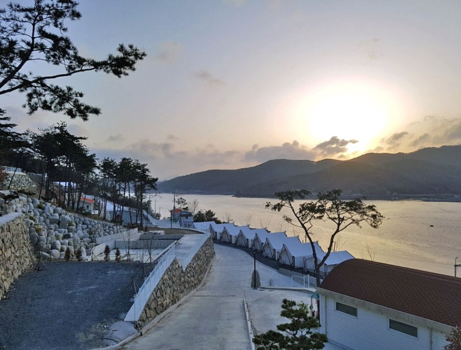 산들바다관광농원 공식 관광자료 제공 사진 실제 사진