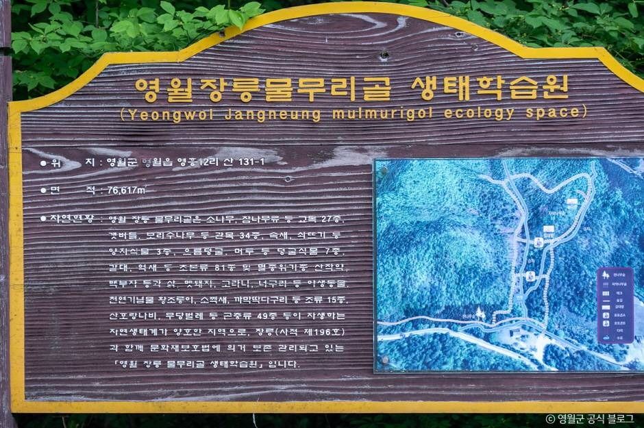물무리골생태습지 공식 관광자료 제공 사진 실제 사진