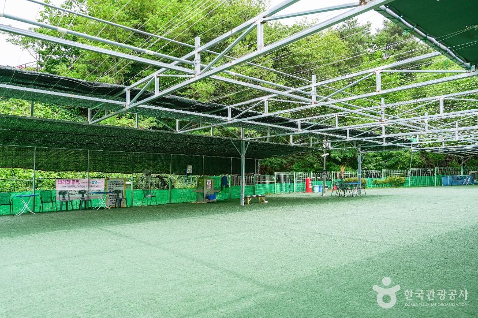 울산애견공원 공식 관광자료 제공 사진 실제 사진