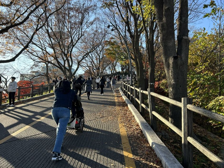 남산순환나들길 공식 관광자료 제공 사진 실제 사진
