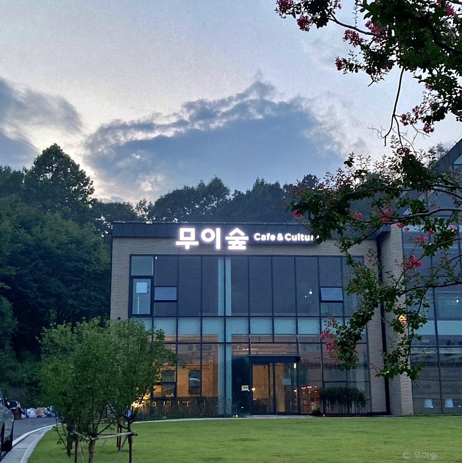 무이숲 공식 관광자료 제공 사진 실제 사진