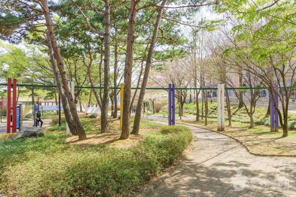 대화동레포츠공원 공식 관광자료 제공 사진 실제 사진