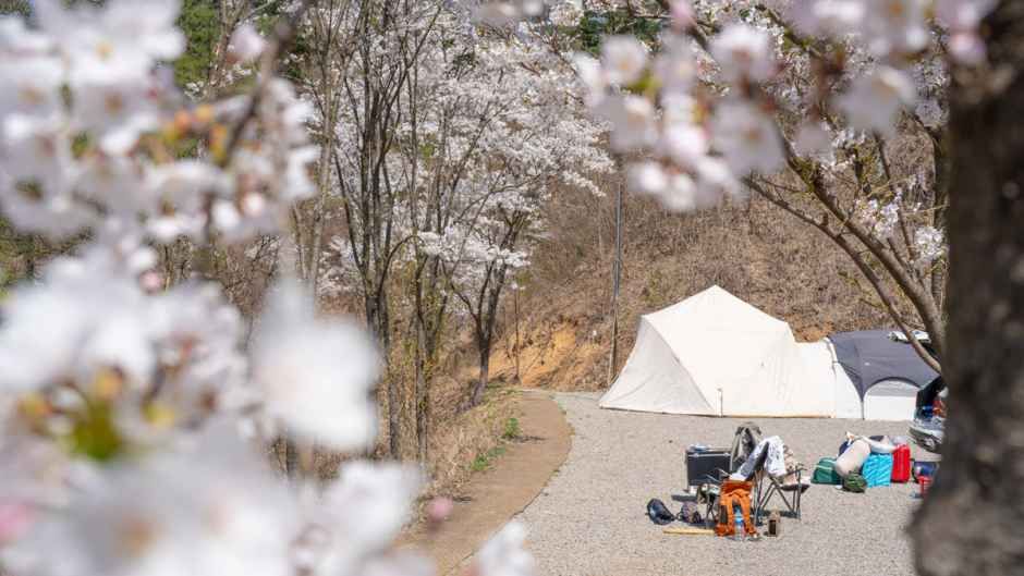 스칼라캠프장 공식 관광자료 제공 사진 실제 사진