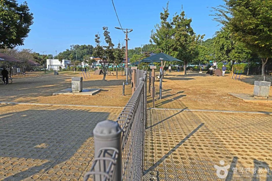 광교호수공원 반려견 놀이터 공식 관광자료 제공 사진 실제 사진