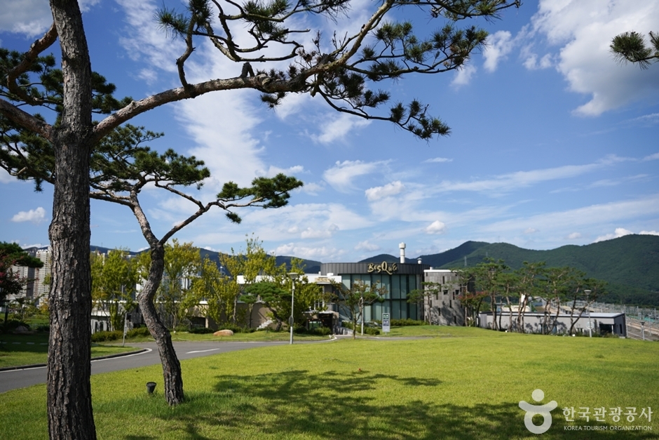 커피명가보스케 공식 관광자료 제공 사진 실제 사진