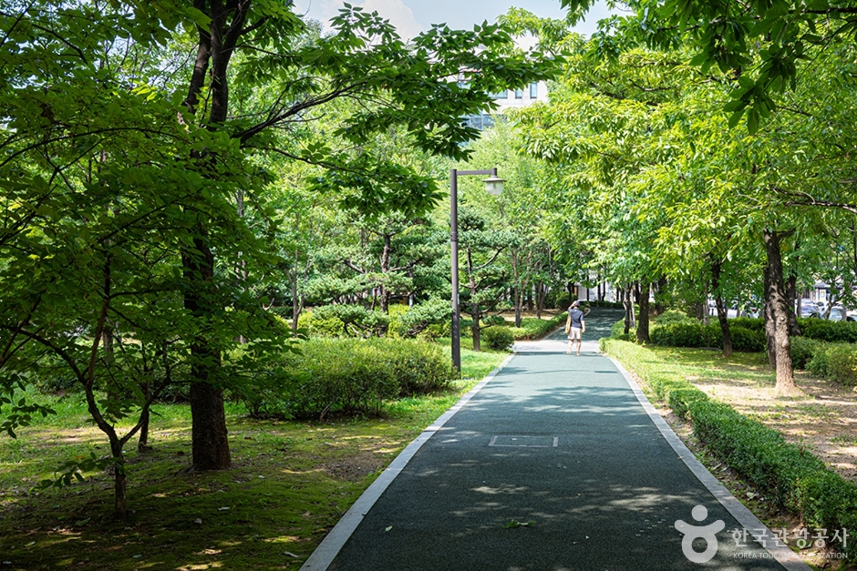 화정중앙공원 공식 관광자료 제공 사진 실제 사진