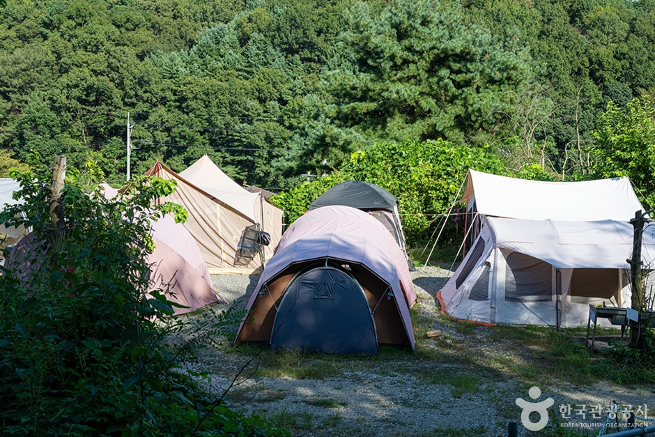 파주화석정캠핑장 공식 관광자료 제공 사진 실제 사진
