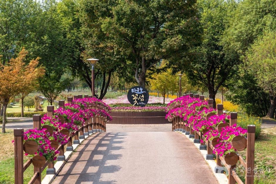 파로호꽃섬 공식 관광자료 제공 사진 실제 사진
