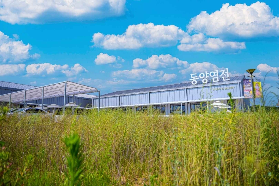 동양염전베이커리카페 공식 관광자료 제공 사진 실제 사진