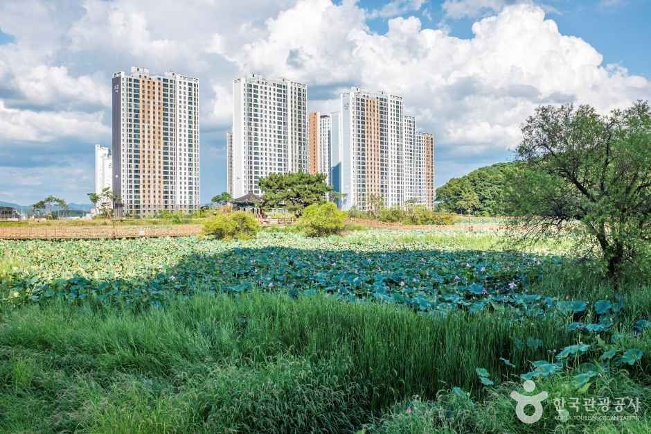 문성지 공식 관광자료 제공 사진 실제 사진