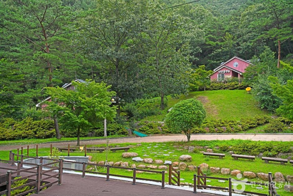 순천자연휴양림 공식 관광자료 제공 사진 실제 사진
