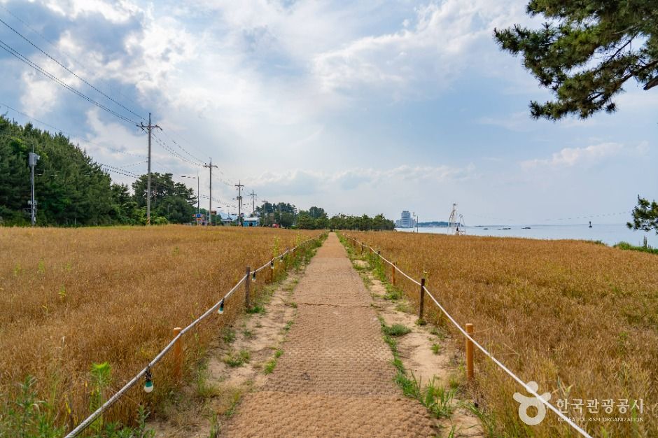 순긋해변 공식 관광자료 제공 사진 실제 사진