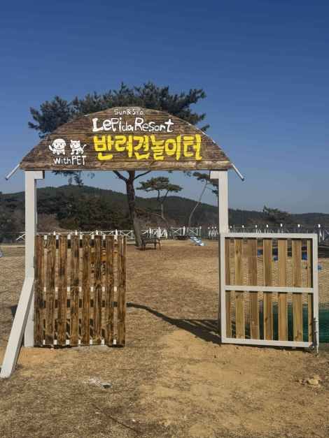 레피다리조트 장소 사진