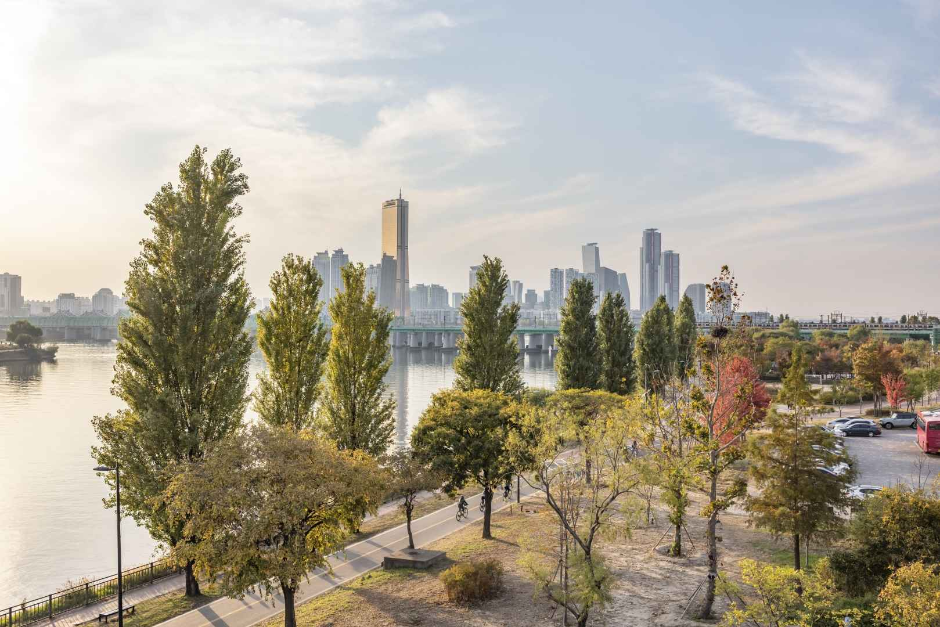 이촌한강공원 공식 관광자료 제공 사진 실제 사진