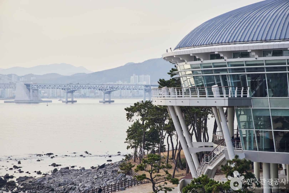 해운대 동백섬 공식 관광자료 제공 사진 실제 사진